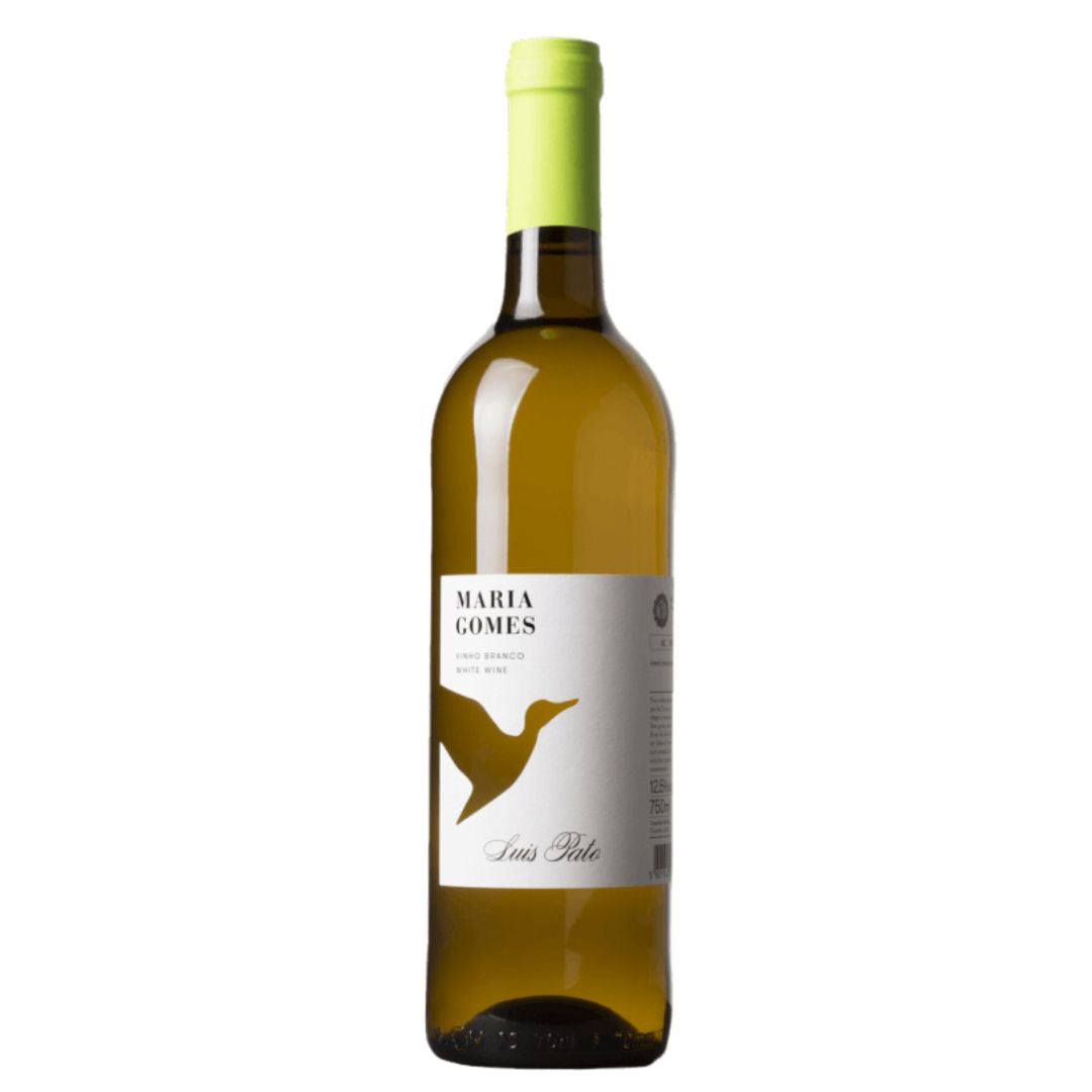 Luis Pato Maria Gomes Branco