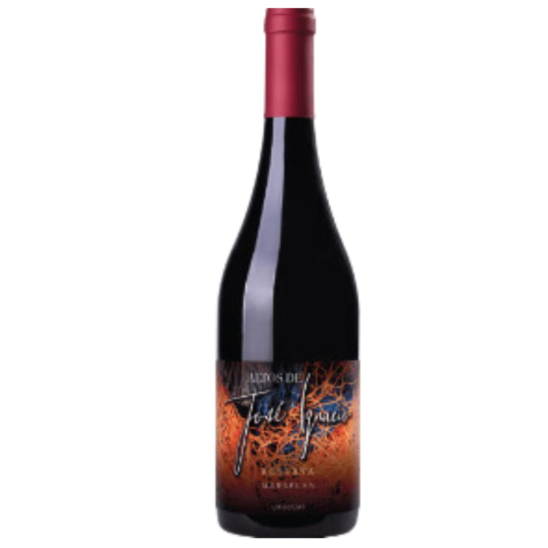 Altos de José Ignacio Reserva Marselan