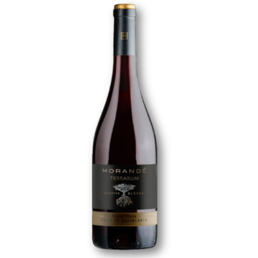 Morandé Terrarum Selected Blocks Pinot Noir